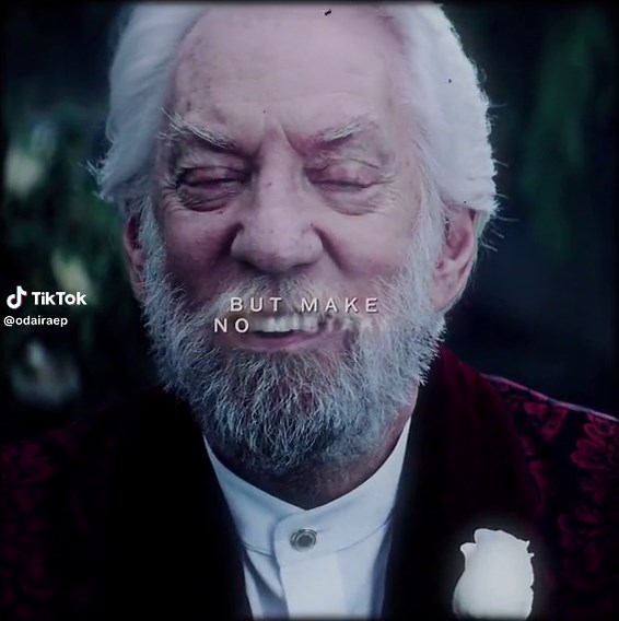 the mockingjay #thehungergamesedit #theballadofsongbirdsandsnakesedit #katnisseverdeenedit #lucygraybairdedit #fyp #fypシ