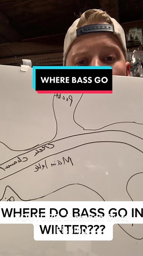 Where Do Bass Go in Winter? Understanding Winter Bass Fishing Strategies