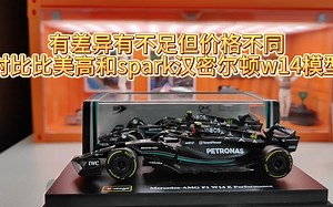 有差异有不足但价格不同 对比比美高和spark汉密尔顿w14模型