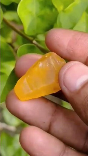 World’s Rarest Yellow Sapphire Found in Sri Lanka 💛 Worth More Than Gold! | Ceylon Treasure