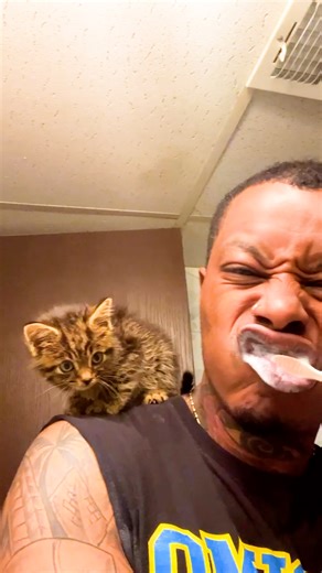 3.8M views · 188K reactions | He'd never had a pet before — and now she's in all his music videos  Keep up with Caleb on TikTok: thedo.do/calebjferg and Nala on Instagram: thedo.do/illnala412. | The Dodo | Facebook