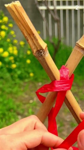 Cara yang cerdas mengikat tali pada kayu menggunakan simpul sederhana #shorts