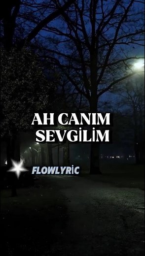 Ah Canım Sevgilim...💔| 8D 🎧#lyrics #8dmusic