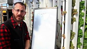 How to Manage Algae in Aquaponics and Hydroponics - Upstart University