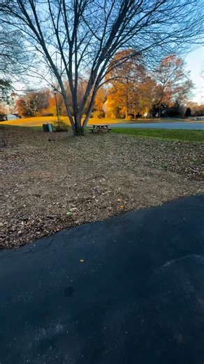 1.9K views · 18 reactions | ⁣The Giving Tree諭諭 We are using the...