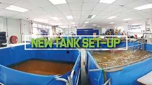 4.4K views · 65 reactions | Hello Everyone! Check out this video on the set up of new HDPE tanks that are planned for our biofloc shrimp farming systems! PS: We conduct monthly courses for those interested in indoor shrimp farming with biofloc! For more info, drop us PM with your email, full name and mobile number! | RAS Aquaculture | Facebook