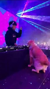Rave dog🐶🦴 | YOUR EDM