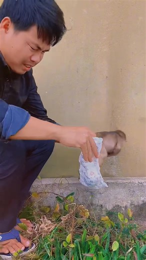 Baby monkey Dorn #babymonkey #monkey #cuteanimal | Monkey nika