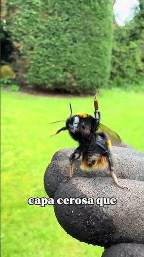 The reason why a mysterious liquid is being sprayed