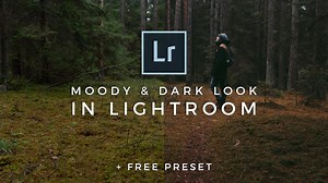 FREE Dark Moody Lightroom Preset - Signature Edits
