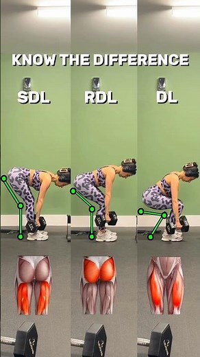 ❌STOP doing deadlifts wrong - Know the difference between SDL, RDL & DL 👇🔥