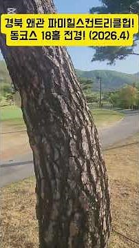 Panoramic view of the East Course 18-hole at Pami Hills Country Club in Waegwan, North Gyeongsang...