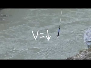 Option D - Acceleration of a Bungy Jump
