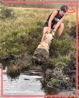 97K views · 684 reactions | Sheep Rescue  | Magic Hands Creations | Facebook