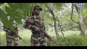 WATCH | A short film tracks the success of Project Tiger as it completes 50 years India harbours more than 70 per cent Global Tiger Population with more than 3000 Tigers in 53 Tiger Reserves Ministry of Environment, Forest & Climate Change, Government of India #50YearsOfProjectTiger | Prasar Bharati News Services