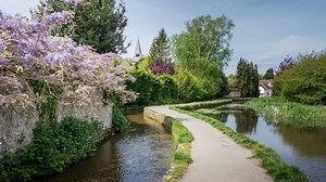 Loose Area Guide | Wards