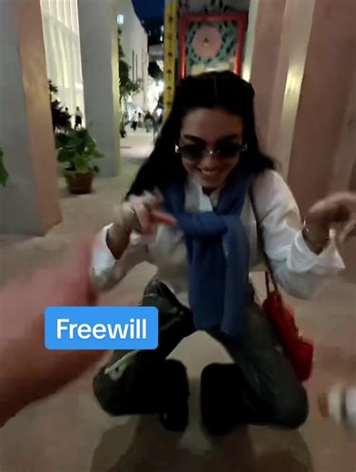 Exploring Freewill Through the Belt Metaphor