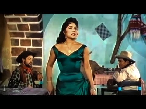 Flor Silvestre con el Mariachi México - Una sola caída (1956)