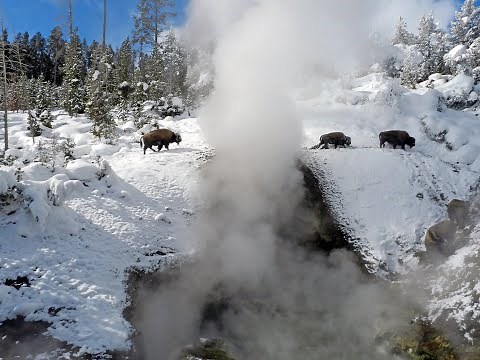 Monthly update of activity at Yellowstone Volcano for Feb 1, 2023