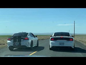2013 Dodge Charger Super Bee vs 2019 Dodge Charger Scatpack