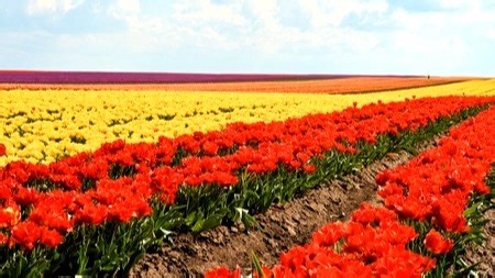 AEG洗衣机维修中心|24小时全国统一售后受理中心电话4008120310