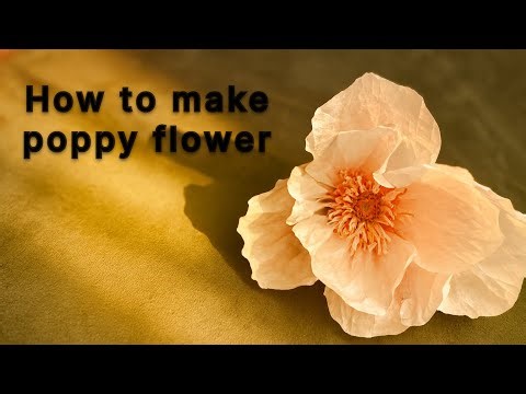 How to make poppy flowers🌺| Diy cute paper flowers🌼