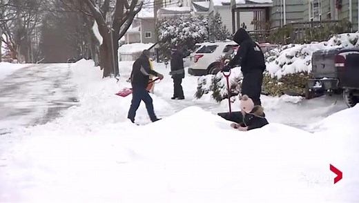 Winter storm in Halifax area brings delays, cancellations and closures