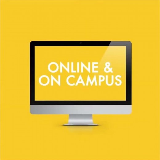 Monroe University - St. Lucia Summer Semester in NY