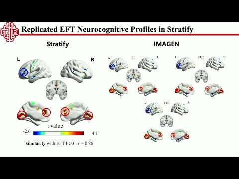 OHBM 2025 | Oral Session | Rongquan Zhai | A Generative Model Framework for Task-based fMRI: Integ…
