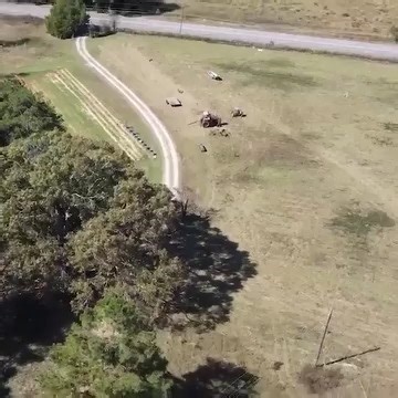 26 reactions | Allis Chalmers HD6 Parked For 30 Years! Will it start and load? | Harvest Heroes | Facebook