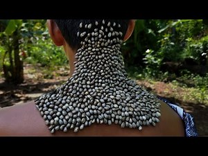 A woman help remove ticks on boy's body #289