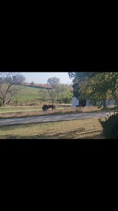 Hoot and Toot ...zooming | The Toy Train Barn Museum