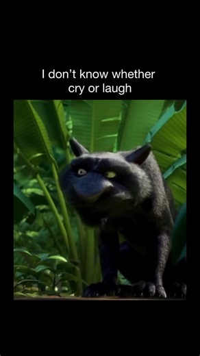 Heartfelt humour on Instagram: "🫠 Rio 2 continues the colorful adventure of Blu and Jewel as they leave the comfort of Rio de Janeiro and journey deep into the Amazon rainforest. While Blu struggles to adapt to life in the wild, Jewel reconnects with her roots and discovers a larger family she never knew she had. Surrounded by vibrant new friends, catchy music, and dazzling visuals, the film celebrates family, self-discovery, and protecting nature, proving that true belonging comes from embraci