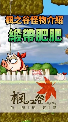 帶你認識楓之谷的怪物 緞帶肥肥 #maplestory #楓之谷 #怪物圖鑑