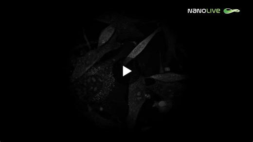 #mitochondria #drugdiscovery #innovation | Nanolive SA