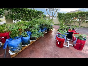 Rain Gutter Grow System: Easy to Use Self Watering Garden