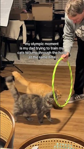 @livngthedream: and they say herding cats is an impossible task #cat #catlover #kitty