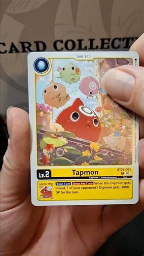 Pack Opening #6 - Digimon TCG | Rare Pull! (Cyber Eden)