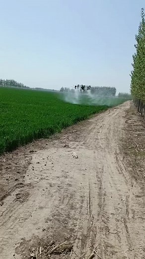 Drone Spraying Techniques in Agriculture