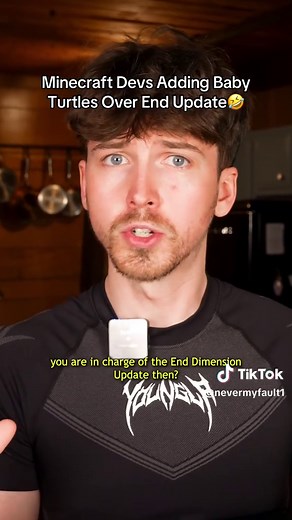 Minecraft Devs Introduce Baby Turtles in End Update