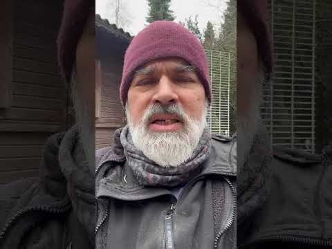 Will hunting wolves now be legally permissible? NO.