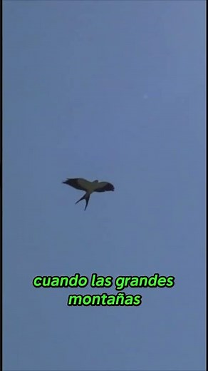 Why is Colombia #1 in birds? 🤫
