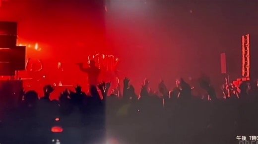 Vingoとの素晴らしい瞬間✨