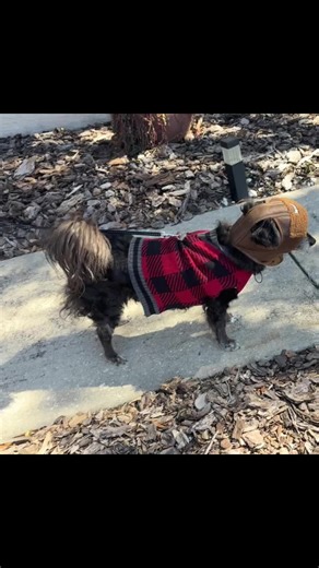 Meanwhile, in Orlando.