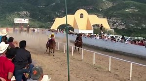 86K views · 1.9K reactions | El corrido del Peluchin volvió a sonar en el Mezquital Durango pues la Estudiante pasó su examen y le ganó con faja al Villano de Cuadra Vr!! Siempre presentes en cualquier lugar que nos inviten a hora nos pelamos hasta el Mezquital Dgo!! | Carreras de Caballos Videos Dgo | Facebook