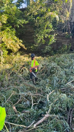 Golf course storm damage from a few weeks ago. #arborist #arblife #treeworker #stormdamage #treefailure #isaontario #husqvarnachainsaw #golfcoursephotos | Silver Creek Tree Care