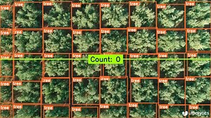 Automate tree counting with YOLO11 | Ultralytics posted on the topic | LinkedIn