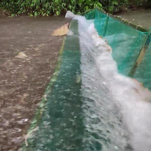 Full video How to make traps to catch fish in lakes and rivers by girls #eperson 2 #bigfish #fishingtrip #bassfising #aquariumlove #oceanview #bookwormsunited #carmaintenancetip #fish #fisherman #fishing #netfishing #bigfish#reels #FacebookReelsContest | Chann Sokheng