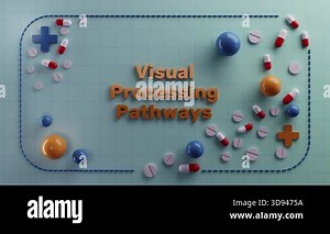 colorful medical pathway illustration, animated infographic showing brain information transmission pathways, skilled visualization of neurological pathways with vibrant pills and clinical symbols Stock Video Footage - Alamy