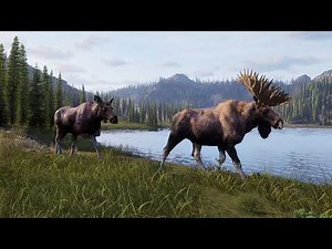 NEW HUNTING SIM- WAY OF THE HUNTER 2 - Ultra Realistic Hunting Simulator | First Look & Gameplay!